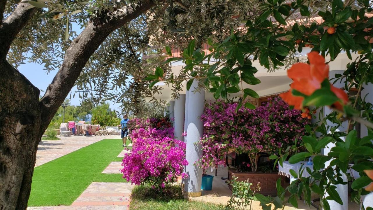 Hotel Brifs Shëngjin Εξωτερικό φωτογραφία