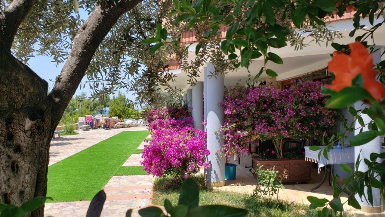 Hotel Brifs Shëngjin Εξωτερικό φωτογραφία