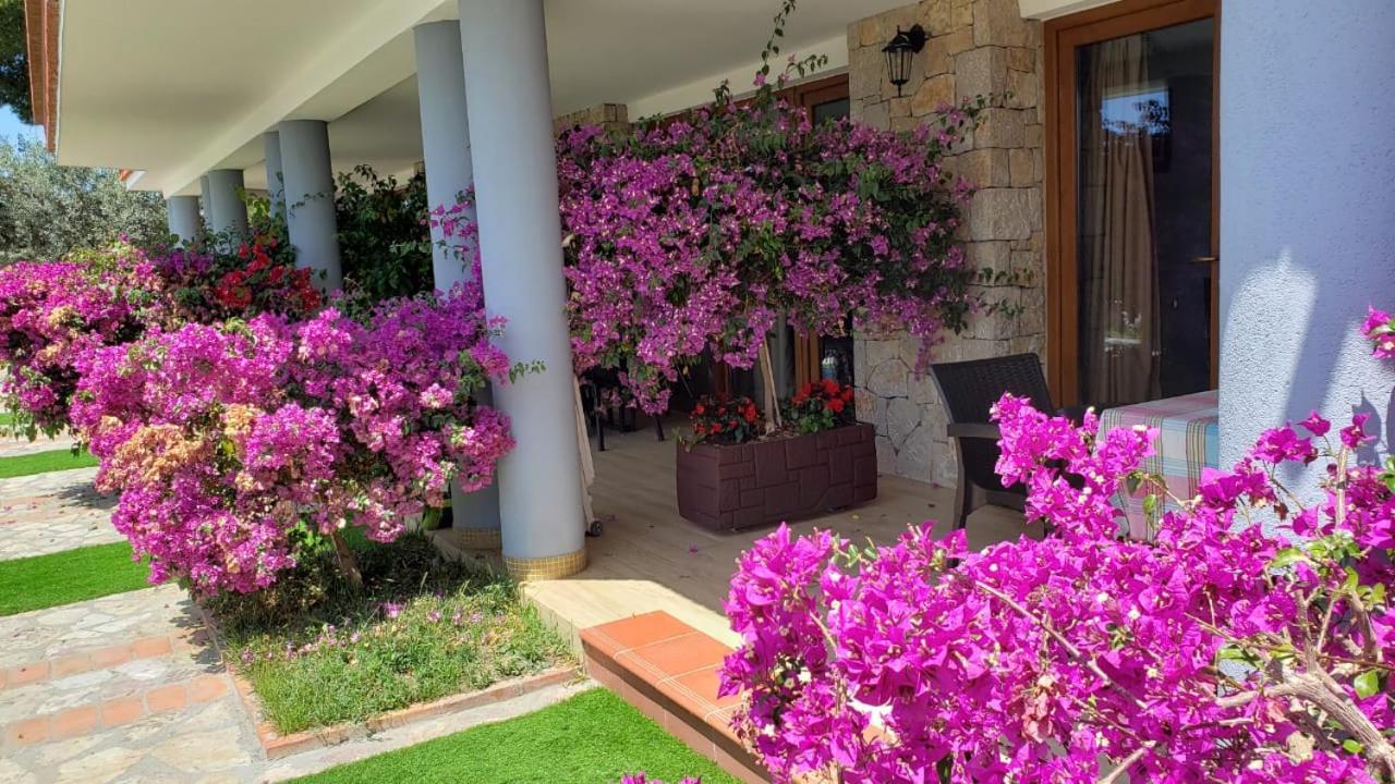 Hotel Brifs Shëngjin Εξωτερικό φωτογραφία