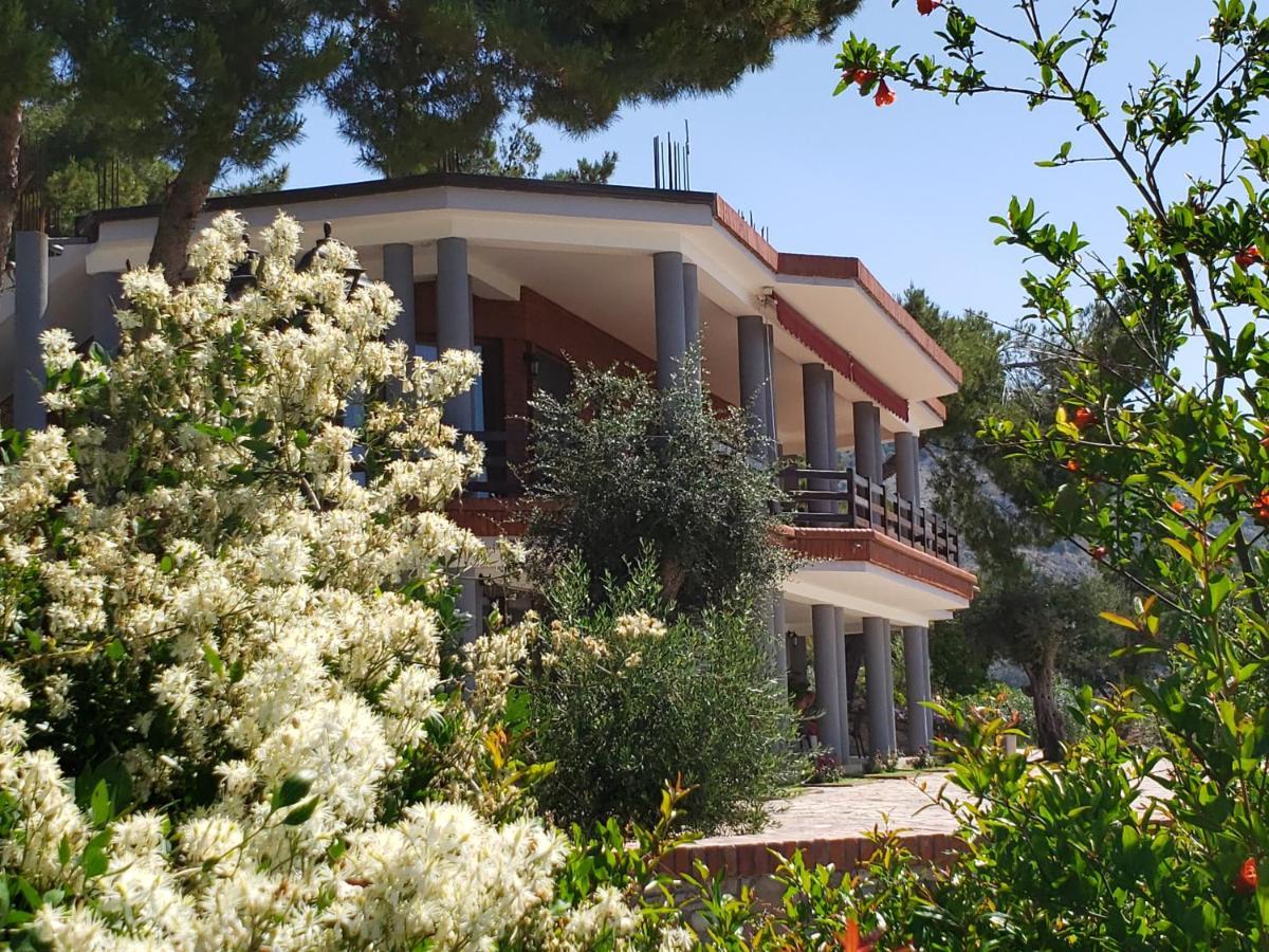 Hotel Brifs Shëngjin Εξωτερικό φωτογραφία